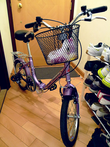 My new bicycle