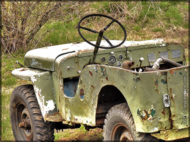 P1150214_willy_jeep