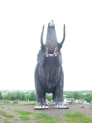 Nova Scotia mammoth