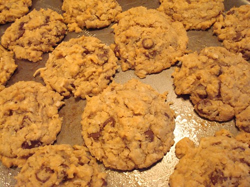 Oatmeal Chocolate Chip Cookies--After