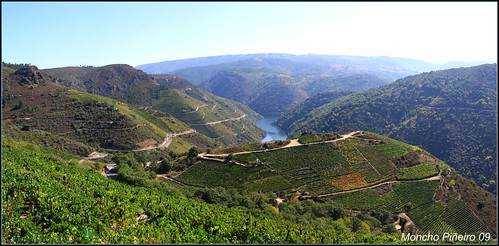 Tours de vinos en Galicia
