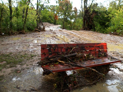 DSCN9709Greathouse Park bench after flood on October 9, 2009