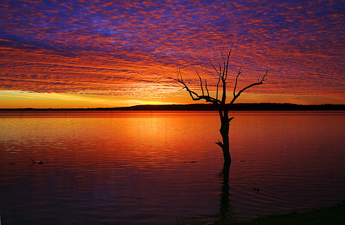  フリー画像| 自然風景| 湖の風景| 夕日/夕焼け/夕暮れ| 樹木の風景| アメリカ風景|      フリー素材| 
