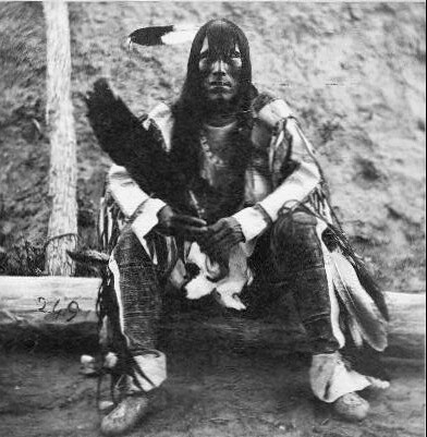 (animated stereo) Iron Bear Chief of Rees 1866 by Thiophene_Guy