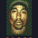 Tupac: The Hip Hop Genius
