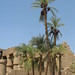 Temple of Karnak, outside the Hypostyle Hall to the north (7) by Prof. Mortel