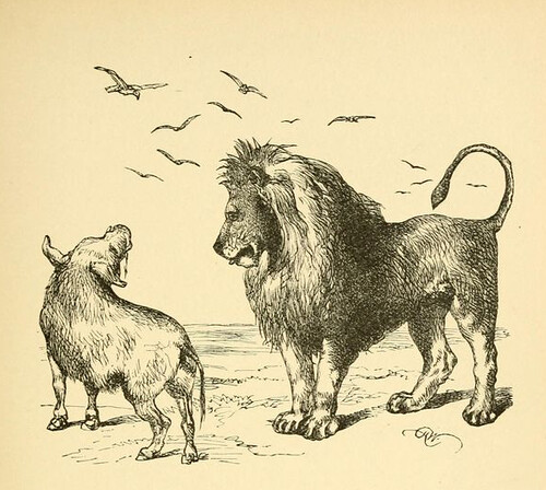 Leo, Aper, et Vultures