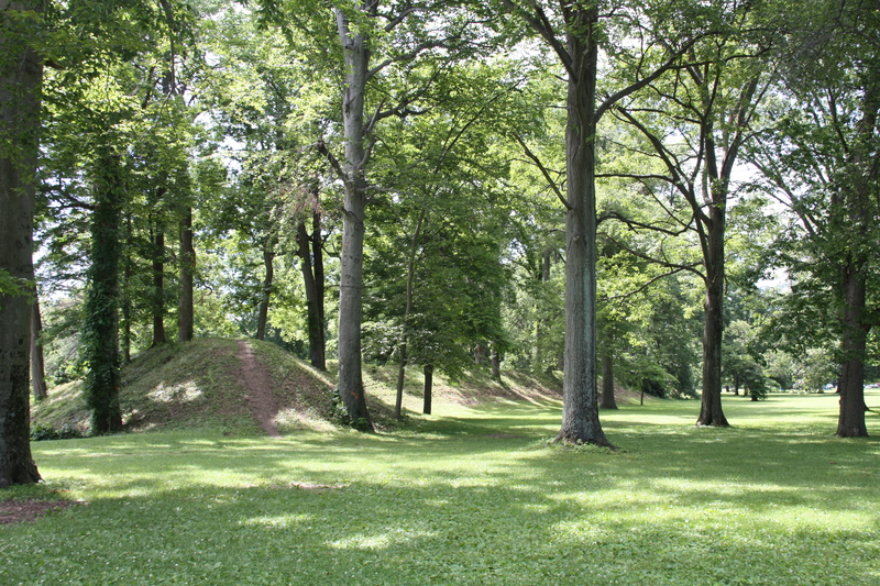 Mound in the Trees
