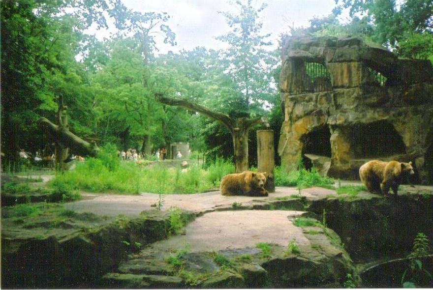 Björnar, Berlin Zoo