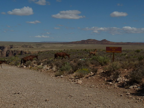 Costa Oeste en Mustang 2009 - Blogs de USA - Presa Hoover - Ruta 66 - Grand Canyon - Monument Valley - Page (9)