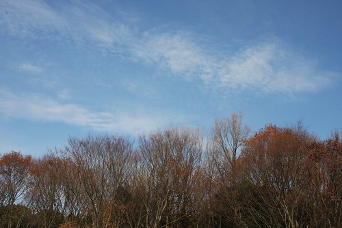 A winter sky