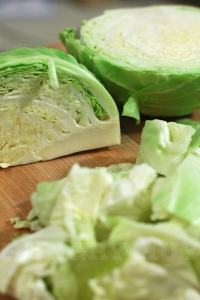 hungry-huy-cabbage
