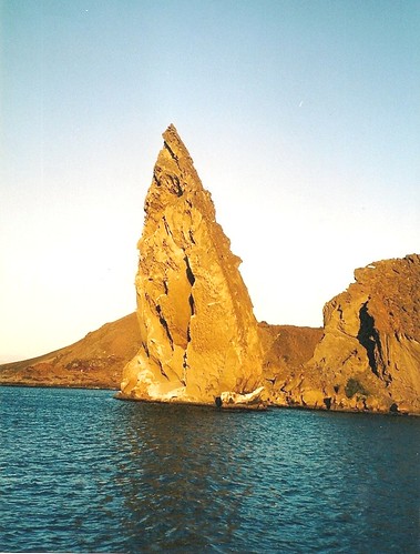 Galapagos-Rabida (4)