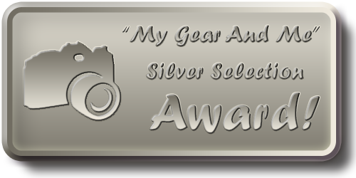 My Gear And Me - Silver Selection Award