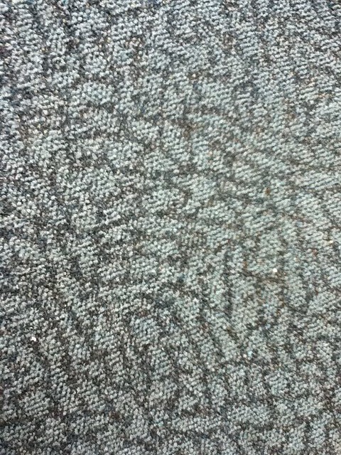 Day 283 - SLC carpet
