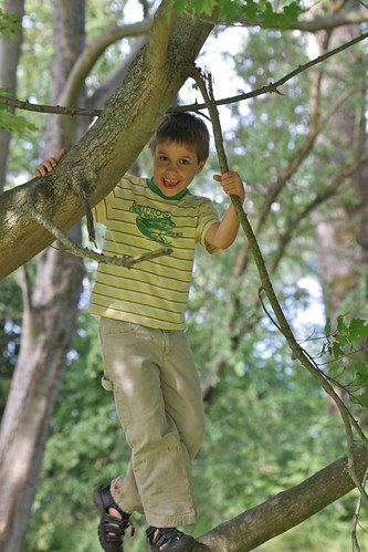 JD Boy Climbing Trees