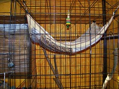 New hammock