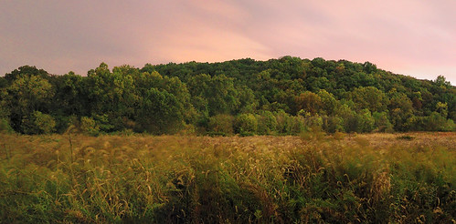 Forest 44 Conservation Area, near Valley Park, Missouri, USA - panoramic night view of prairie and hill