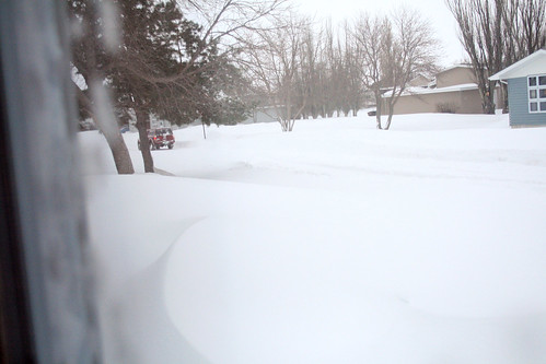 A sideways view out the window of the front lawn, including the completely buried front three steps.