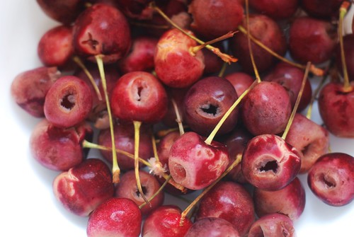 Maraschino cherries.