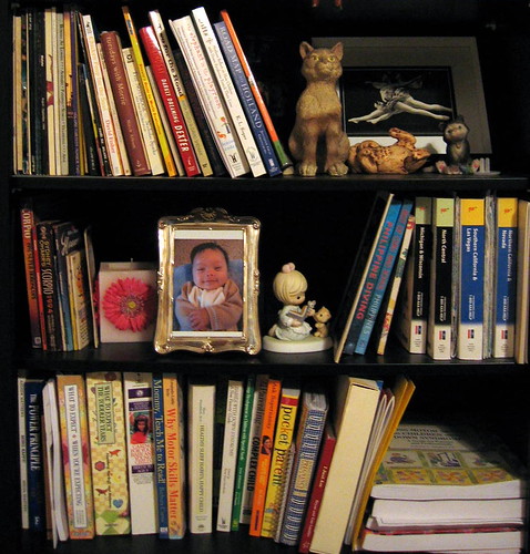 Ria's bookshelf