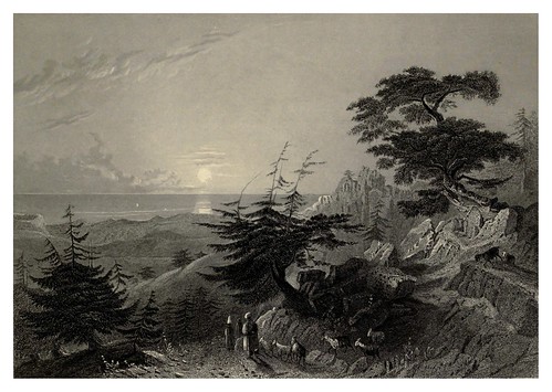 012-Paso en un bosque de cedros cerca de Barouk-Syria, the Holy Land, Asia Minor, etc 1840- Bartlett W. H