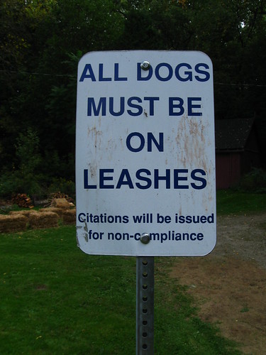 All dogs must be on leashes