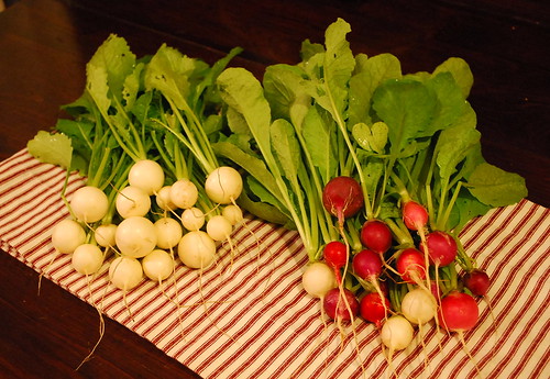 turnips and radishes