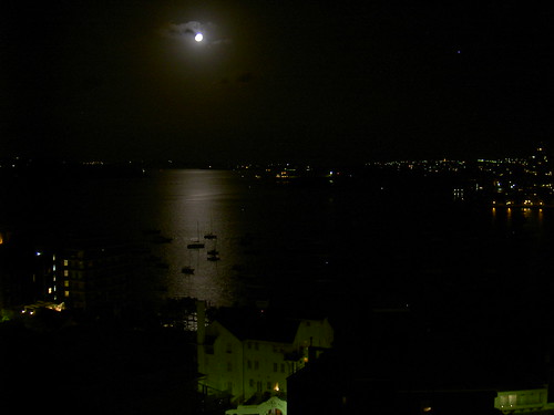 Moon over Elizabeth Bay