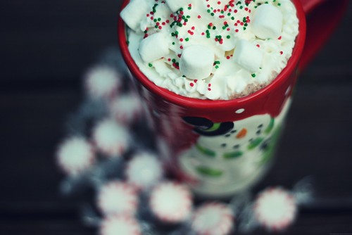 winter hot chocolate with cream and marshmallows