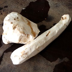 Peeled Horseradish Root