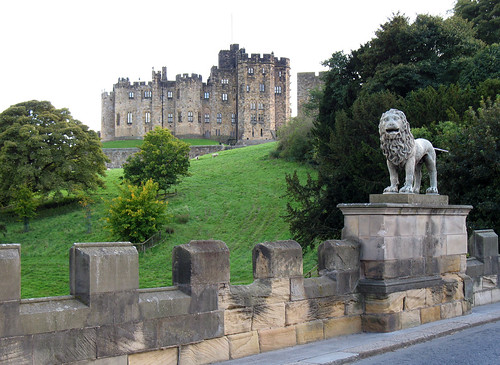 The Lion and the Castle