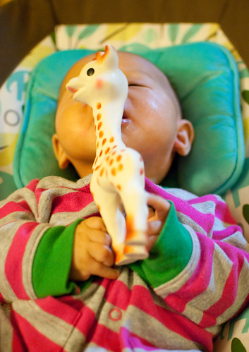 How many other ways can I fit Sophie the giraffe into my mouth?