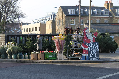 Xmas Trees For Sale