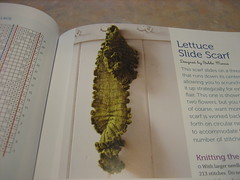 lettuce scarf