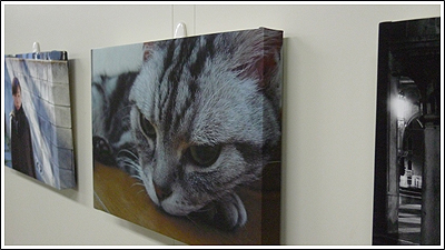 エプソン「PX-5002」で猫の写真をキャンバス風にしました