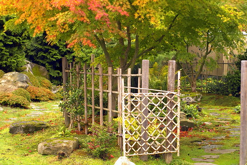 Japanese Garden by Sharon Mack "Pure JOY"
