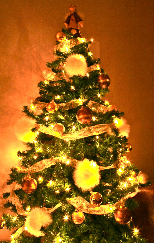 081209_ Digital Rebel_ Christmas Tree