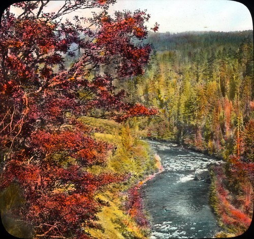 Rogue River, road to Crater Lake