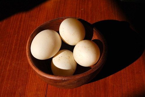 Duck eggs