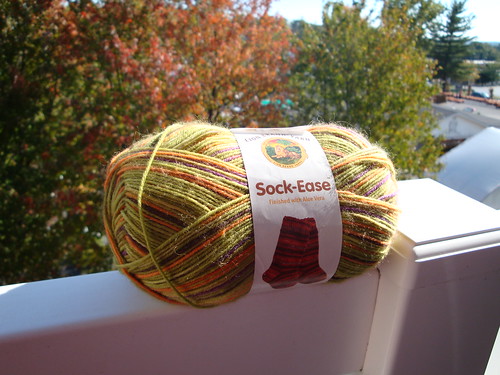 Lion Brand Sock Yarn 02