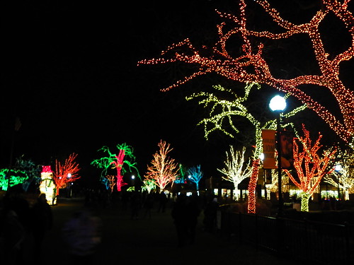 ZOO Lights , Chicago Lincoln Park Zoo (9)