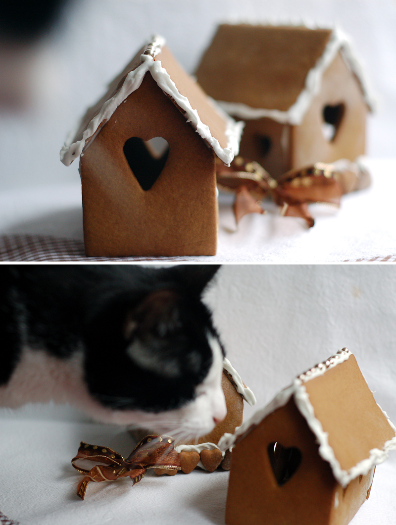 Gingerbread House + Cat