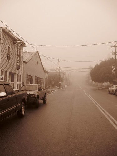 Misty Morning in Monterey