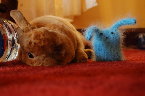 Derby Flopped, Fuzzy Blue Bunny Drooped