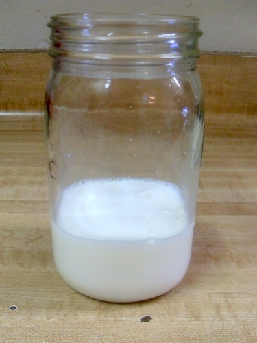 Add 1 cup milk to kefir grains