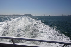 Bay Bridge in Background