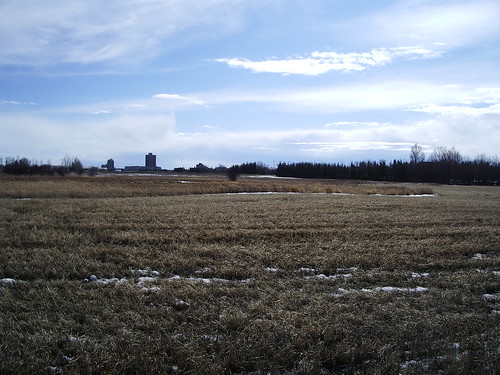 farm field with apartment building in the distance