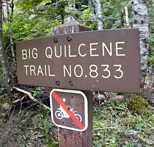 Big Quilcene River Trailhead