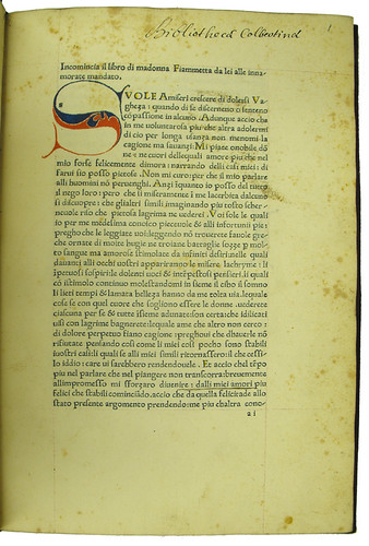 Coloured initial and mis-signed leaf in Boccaccio: Fiammetta